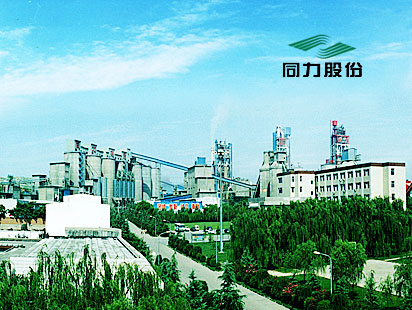 Construction et conception du Henan Tongli Cement Enterprise Website Group